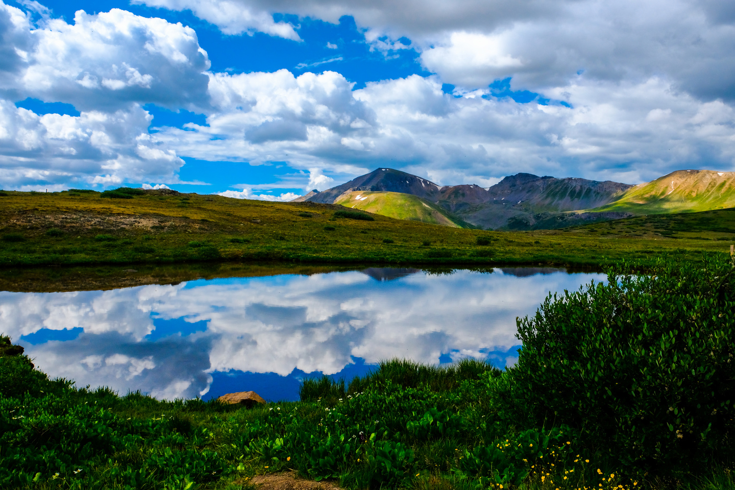View Independence Pass by Tereasa Nichole