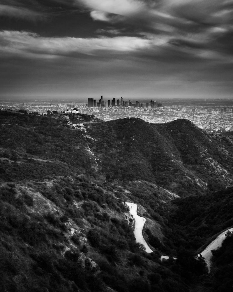 View Untitled 5 by Romain Curutchet