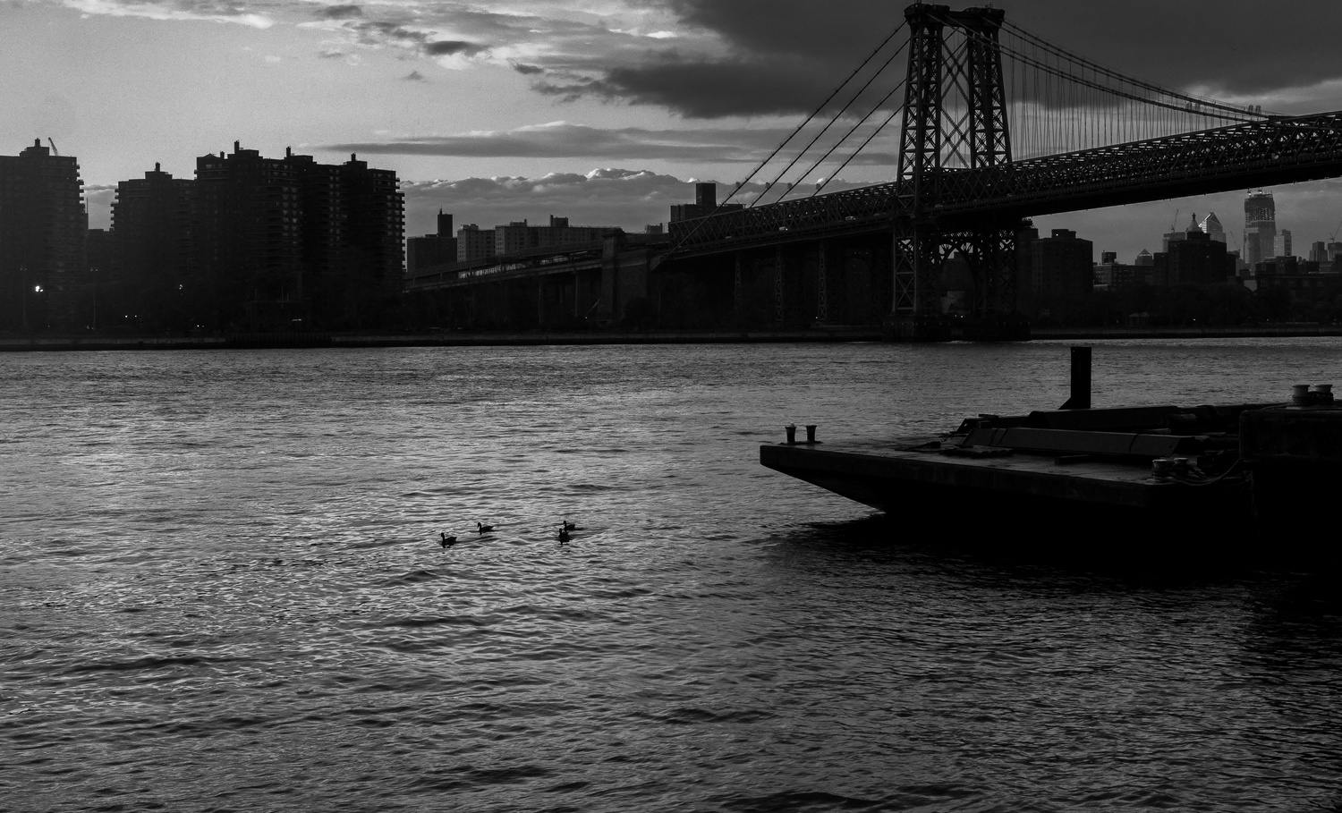 View Untitled 2 by Joseph Chen