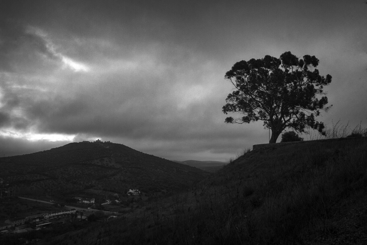 Solitary tree silhouetted on a ridge against dramatic storm clouds and distant mountain