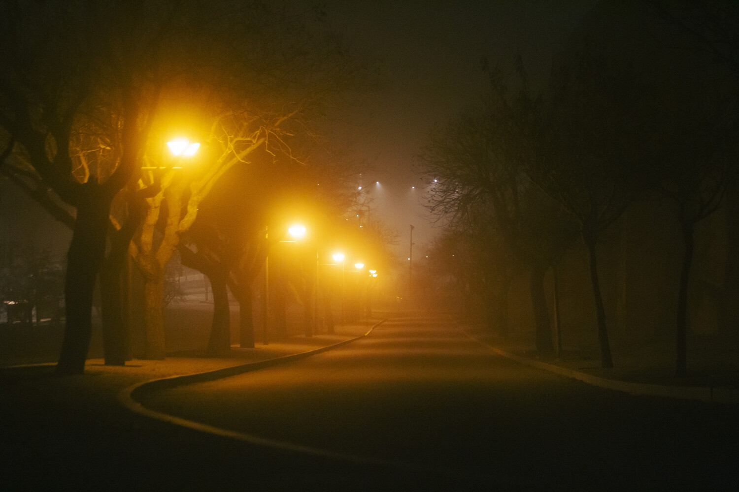 Tree-lined street at night illuminated by warm sodium vapor streetlights creating atmospheric fog