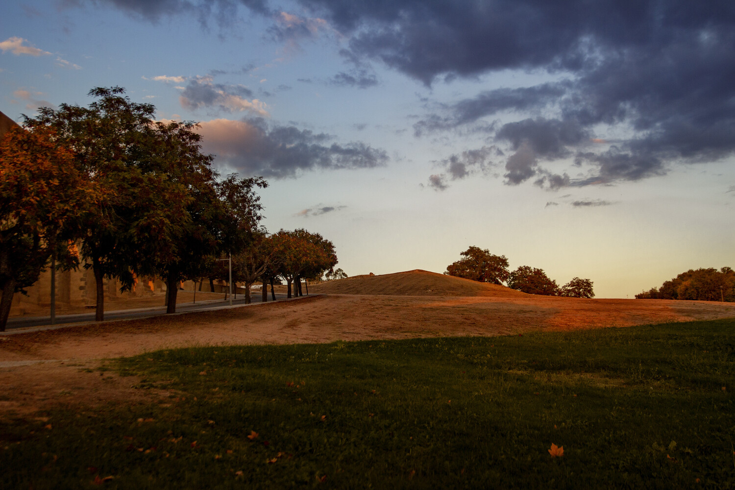 Grassy hill under a dusky sky at sunset, with a row of trees lining a path on the left and warm light catching the slope.