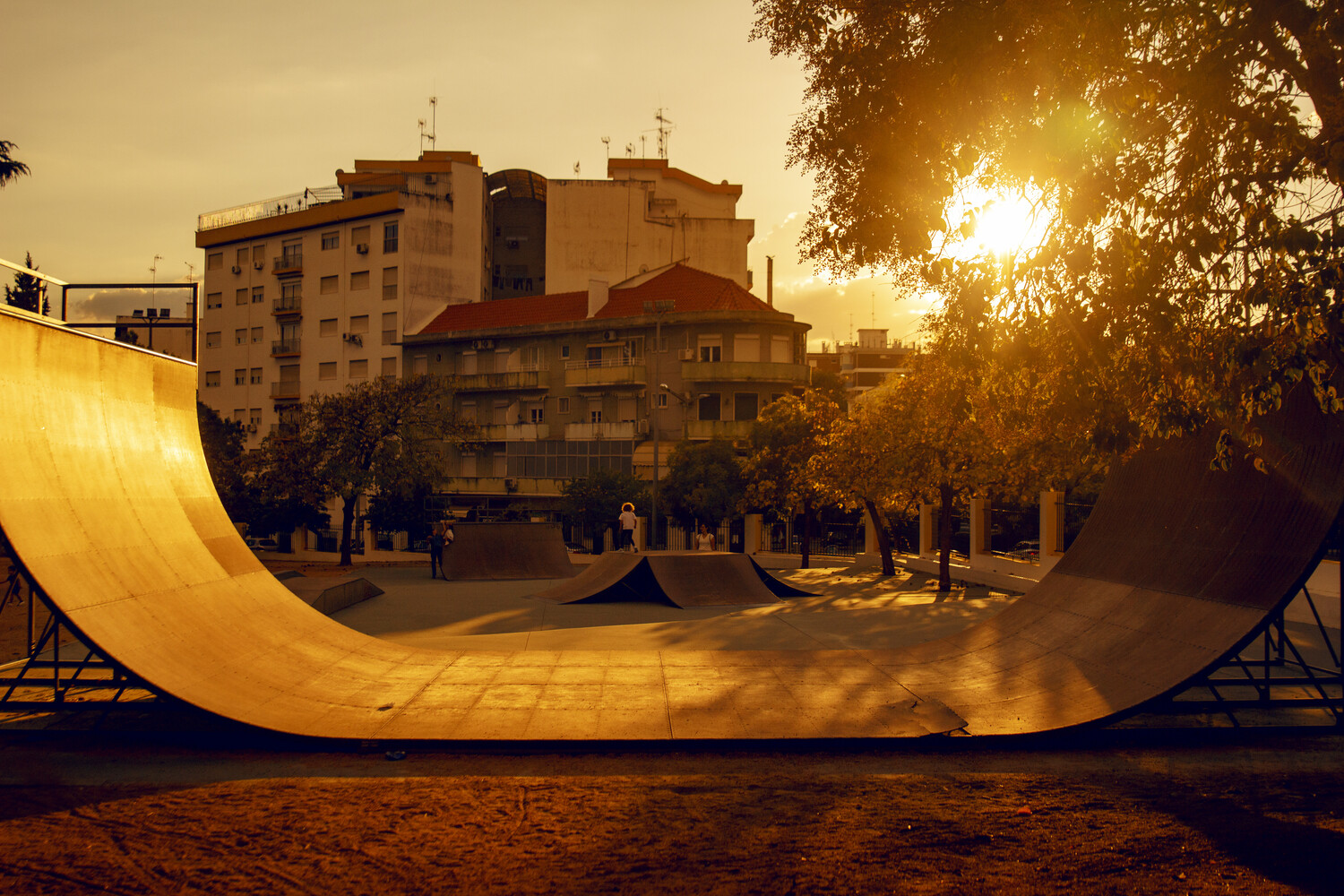Curved concrete skate bowl at a skatepark, lit warm gold by low sun behind trees, with apartment buildings in the background.