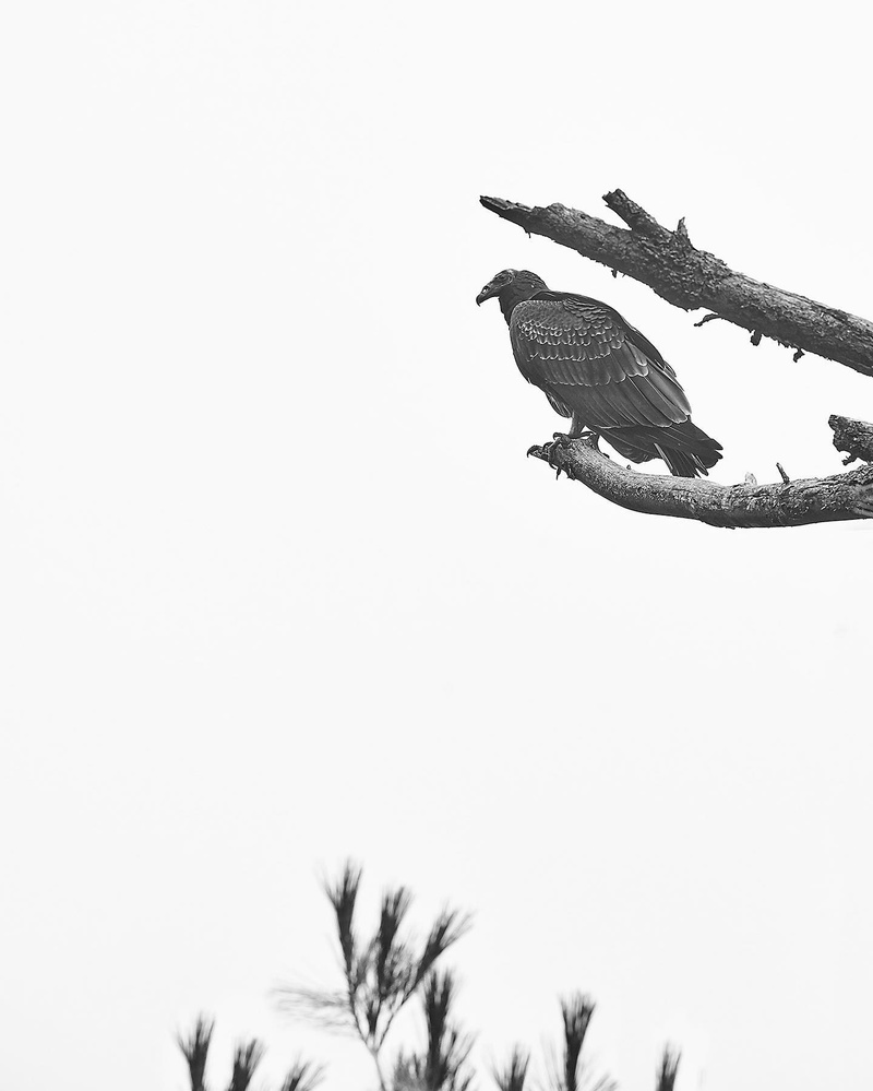 View Untitled 8 by Shane Potter