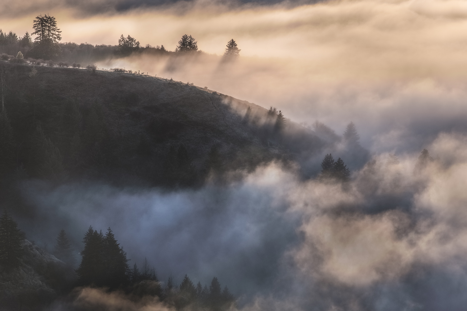 View Untitled 3 by Justin Ward
