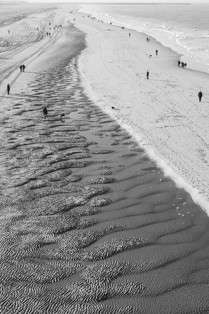 View Untitled 1 by Eduardo Navarro