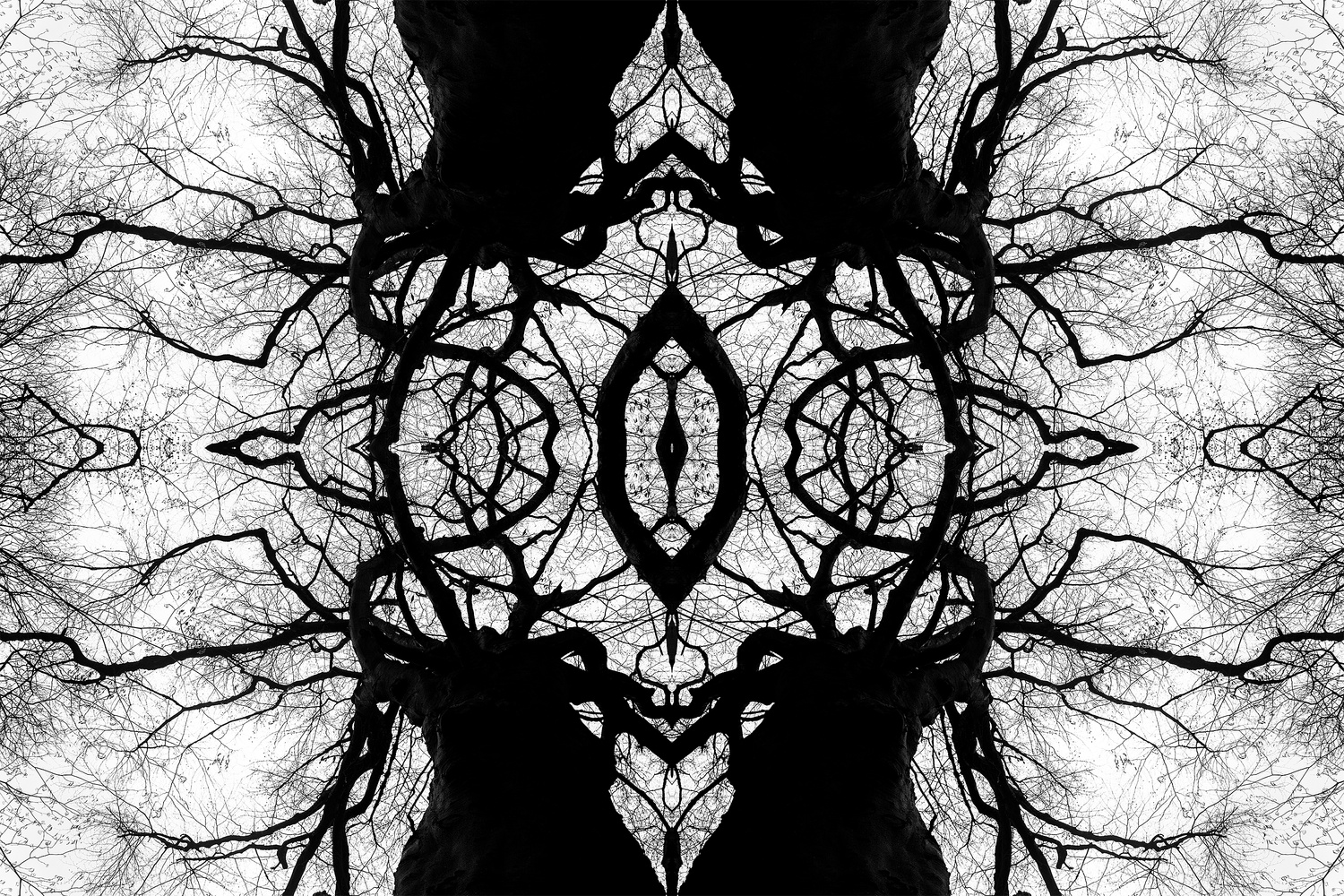 View Untitled 4 by Eduardo Navarro