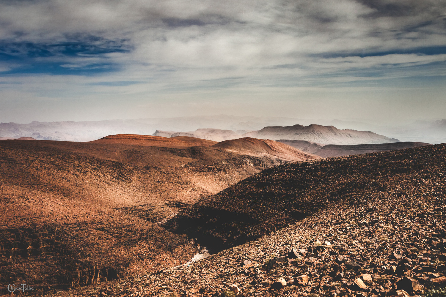 View Untitled 1 by Shadia Talha