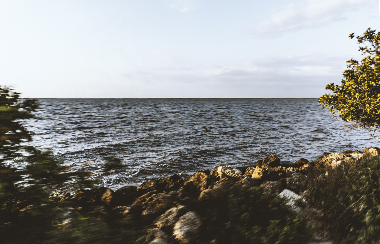View Untitled 1 by Zane McGill