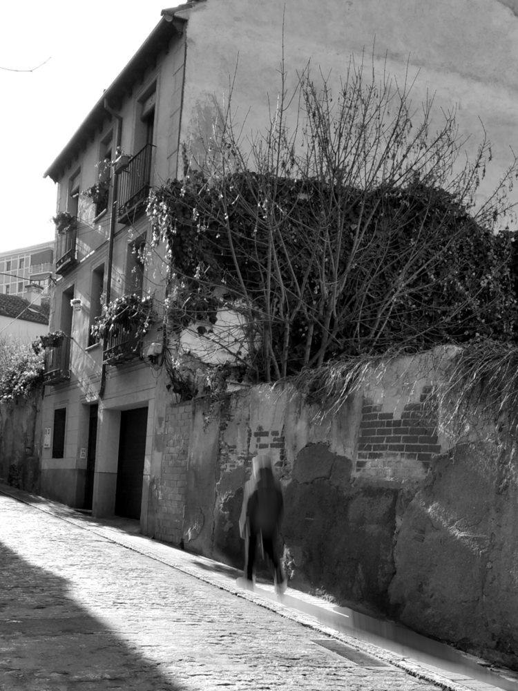 Weathered European stone building with bare vines against white wall, cobblestone street in shadow