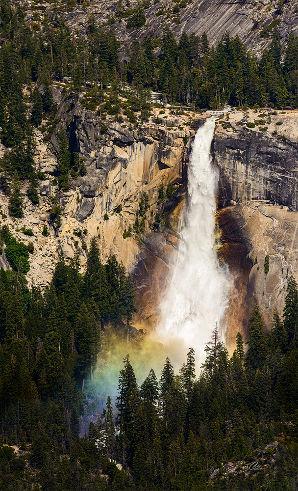 View Nevada Falls by Carla Anderson