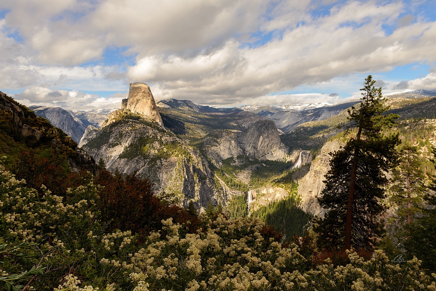 View Above, Below and Beyond by Carla Anderson