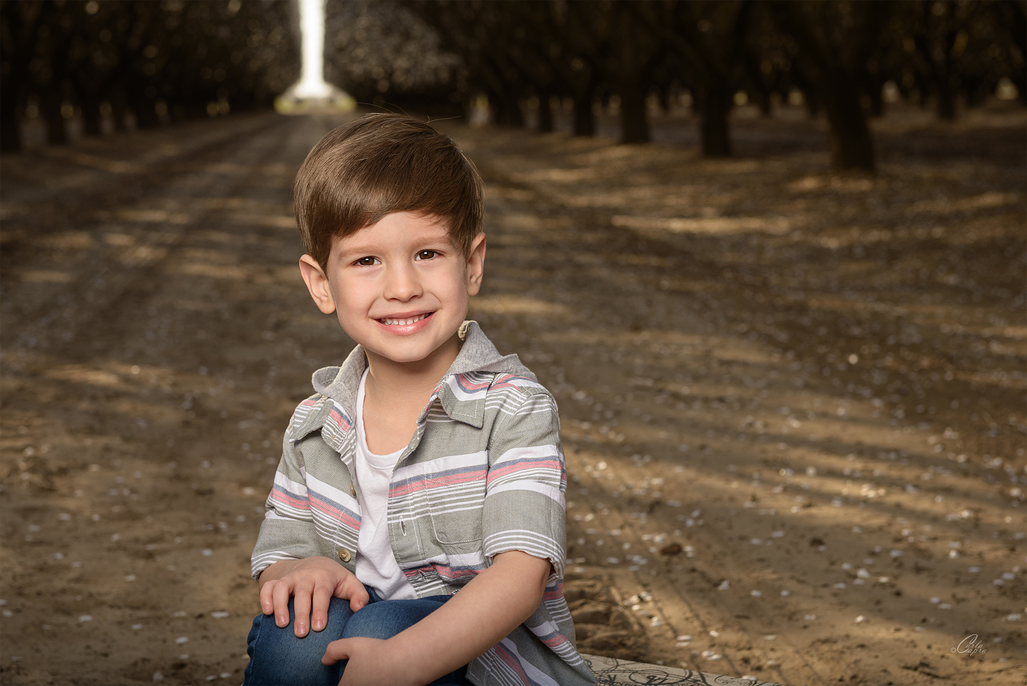 View Gavin by Carla Anderson