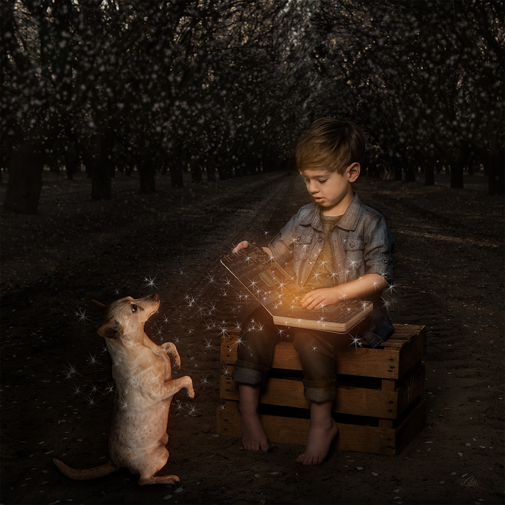 View Magic Book by Carla Anderson