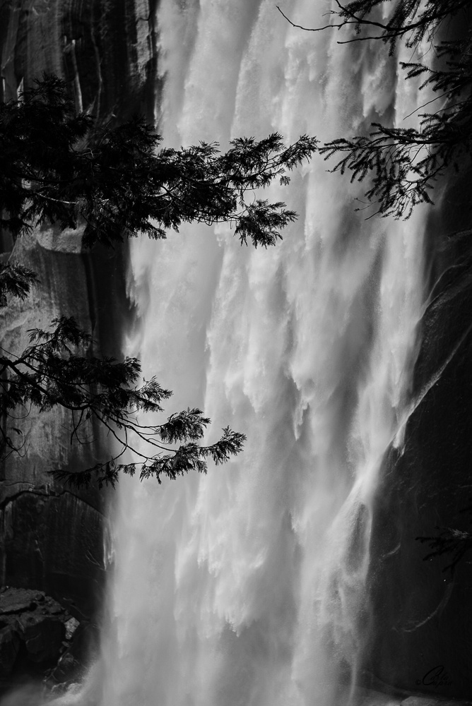View Falling by Carla Anderson