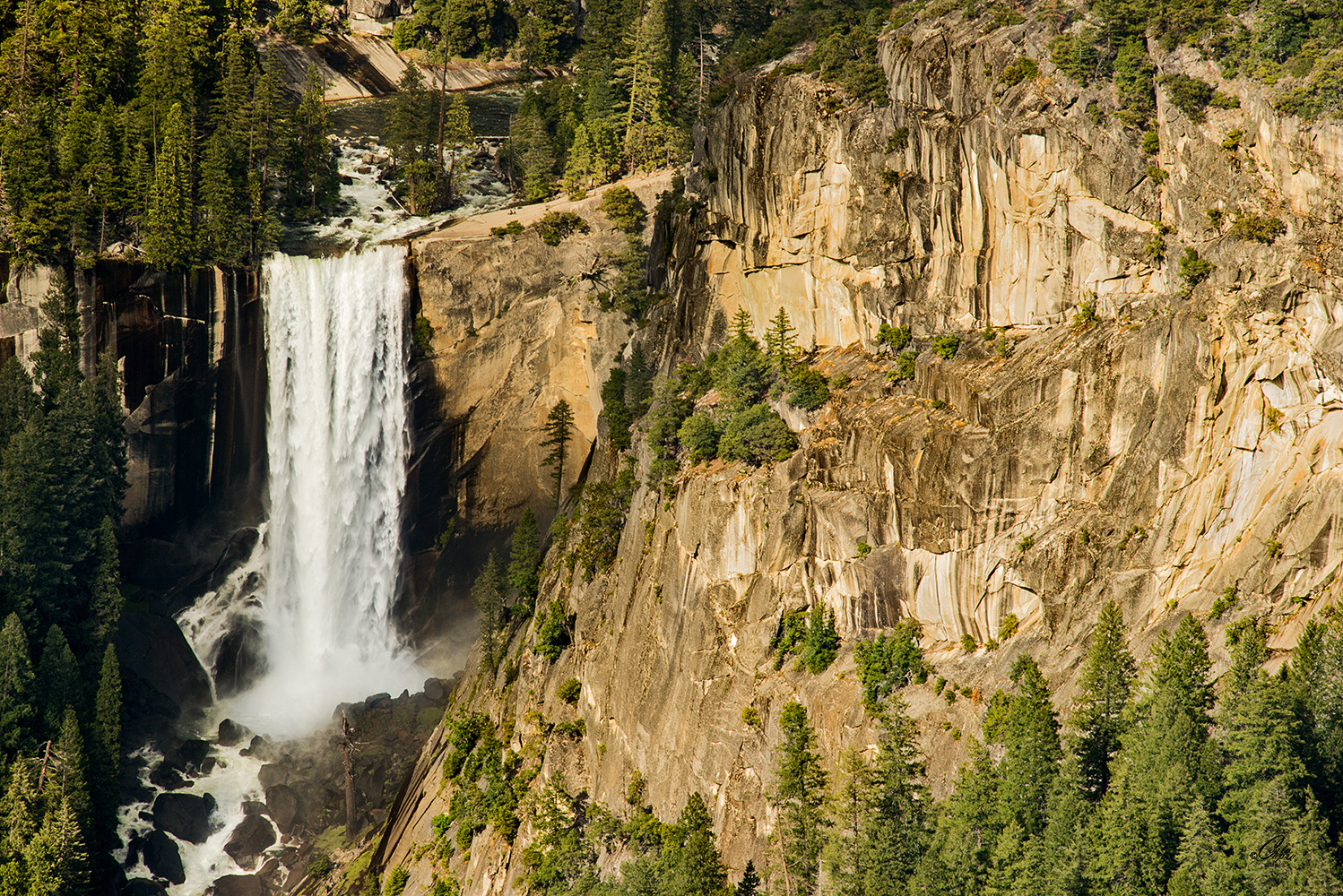 View Vernal Falls by Carla Anderson