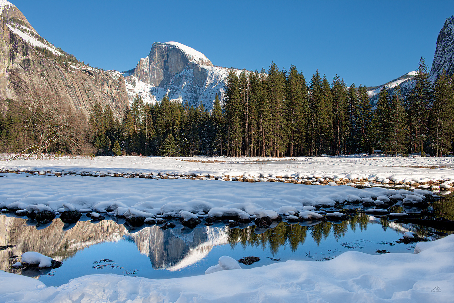 View Reflections of Half Dome by Carla Anderson