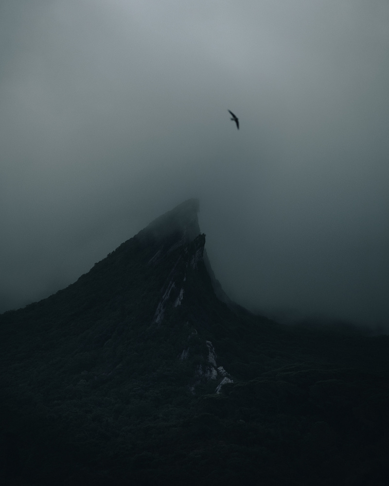 View Untitled 13 by Rendell Tunner