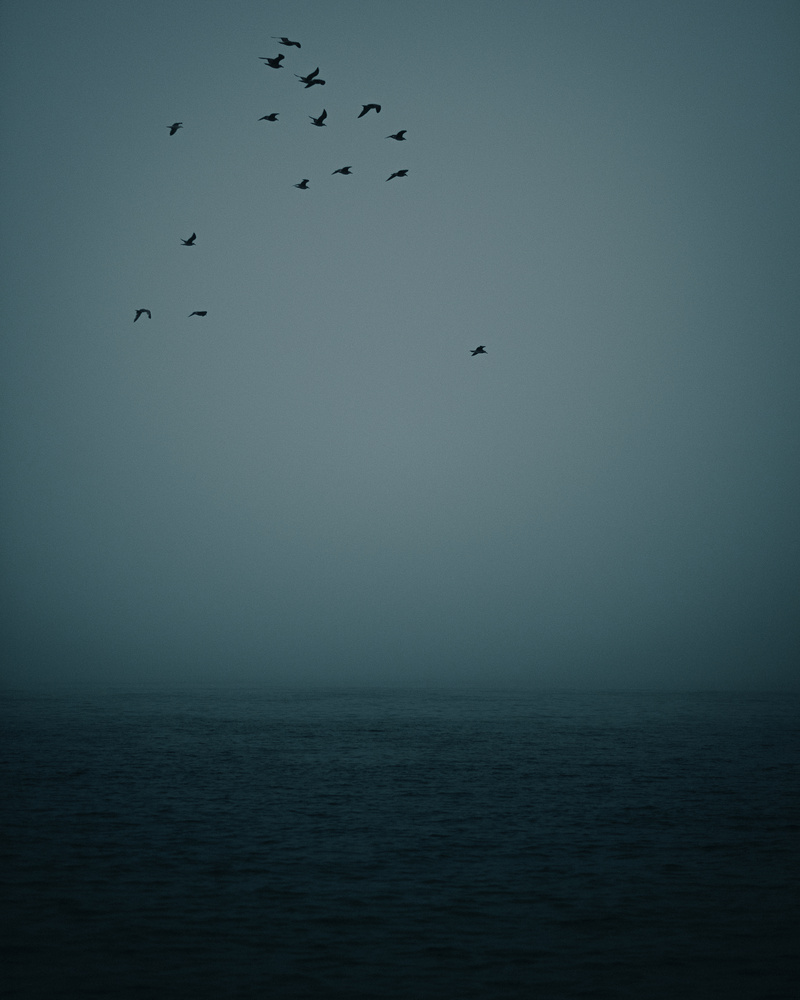 View Untitled 5 by Rendell Tunner