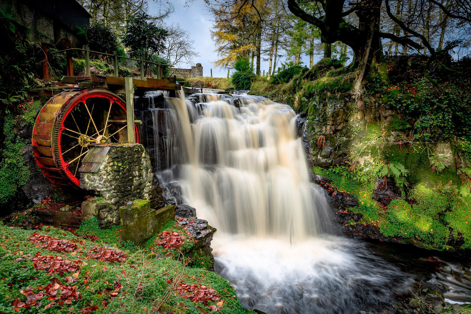 View Untitled 2 by Andy Coulter