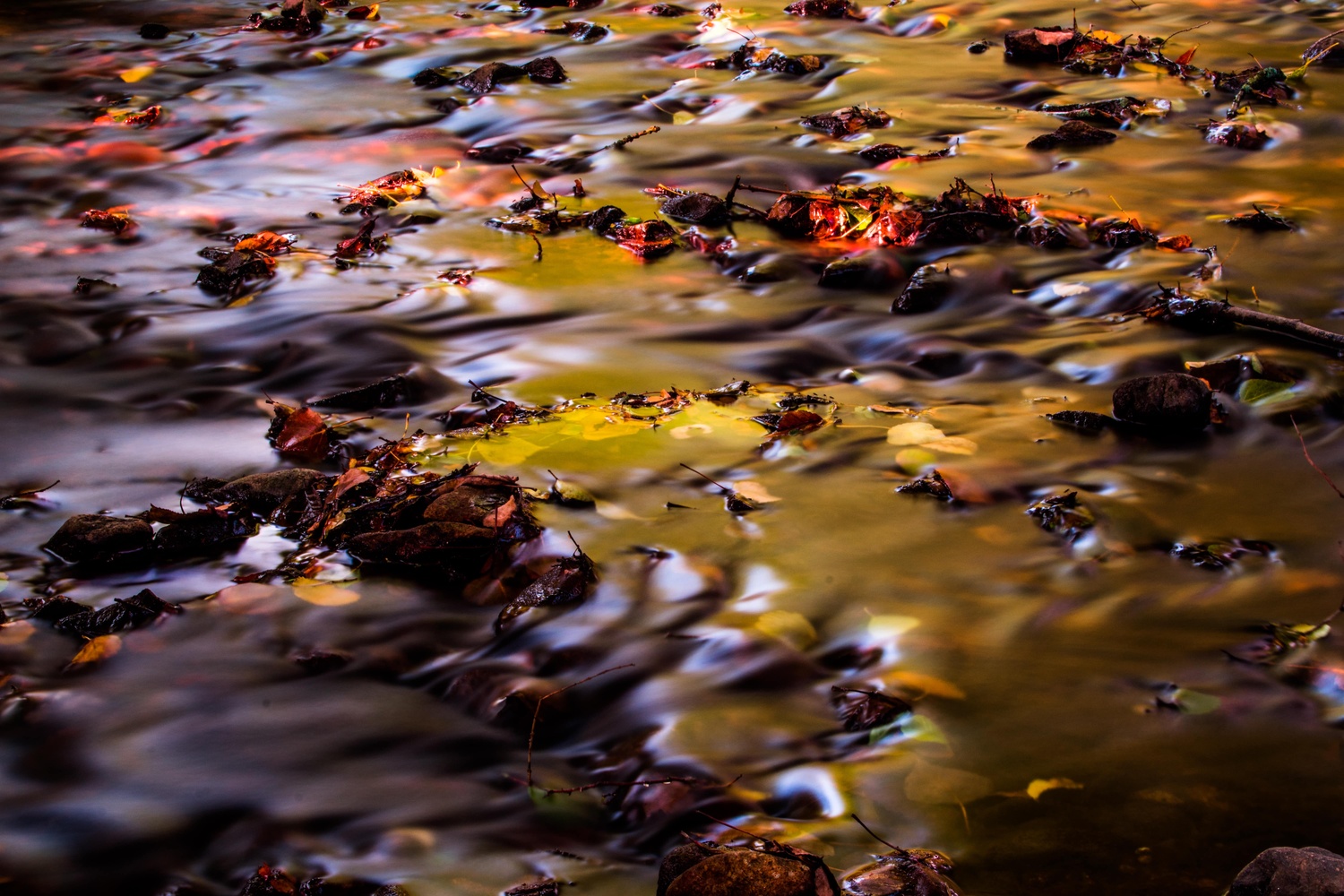 View Untitled 2 by Maxime Vadon