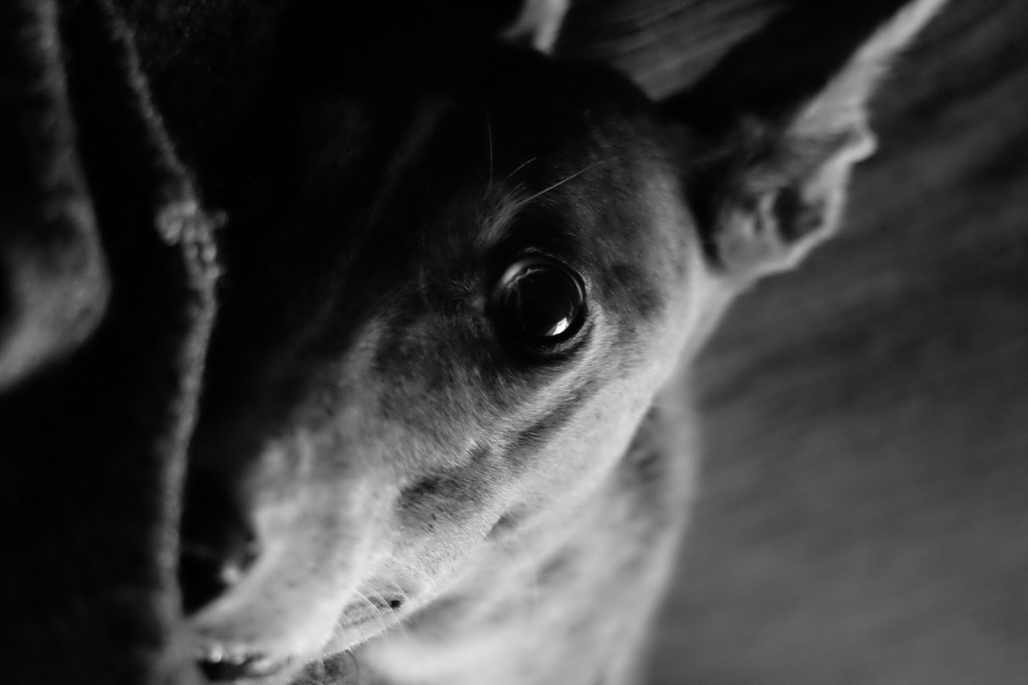 View Untitled 4 by Sam Brown