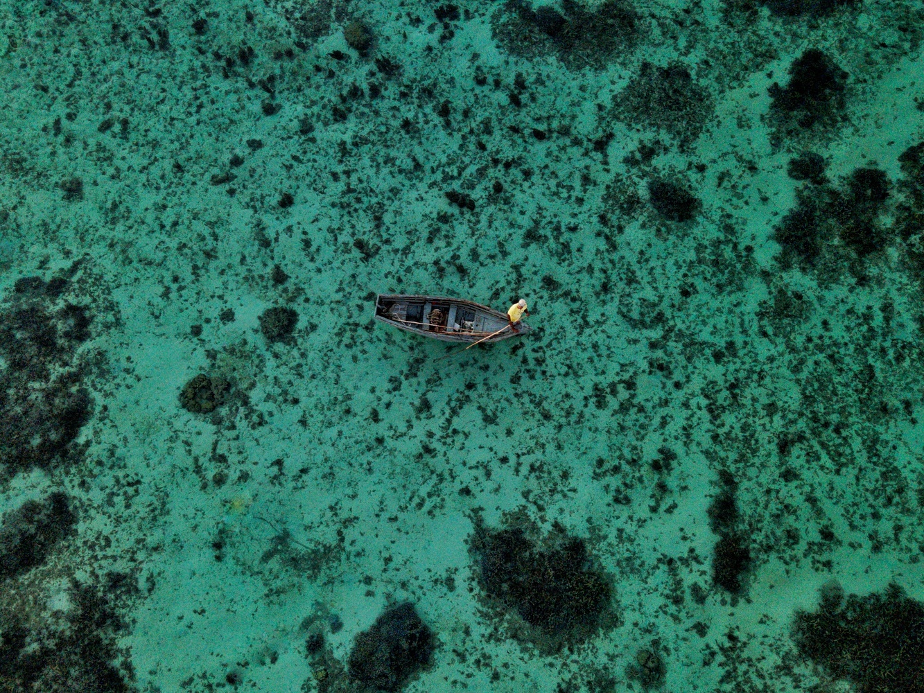 View Man in a boat by Paul Cooper