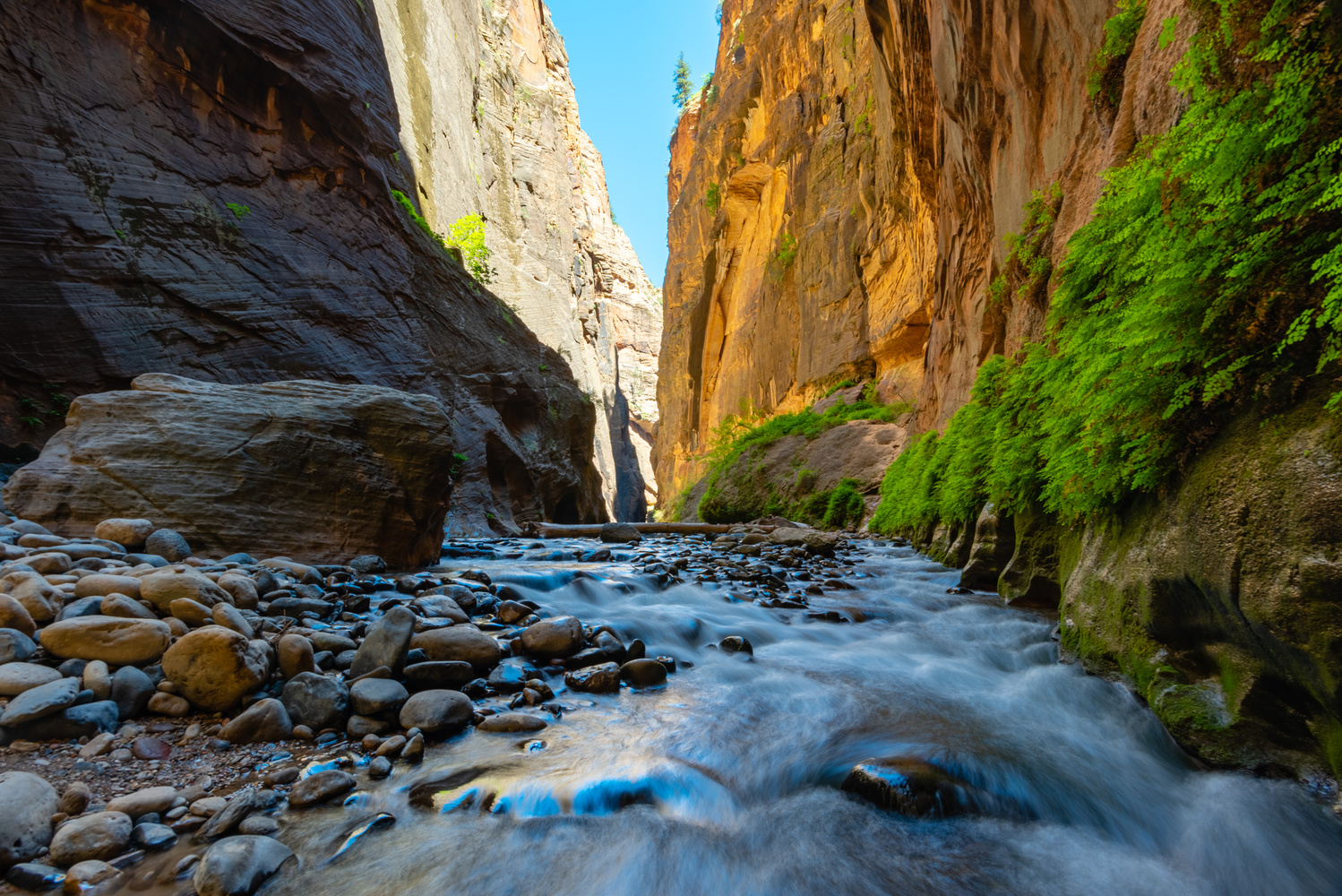 View Zion Narrows by Seth Gehrke