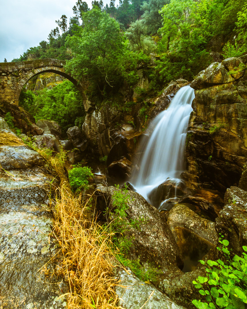 View Untitled 1 by Tiago Santos