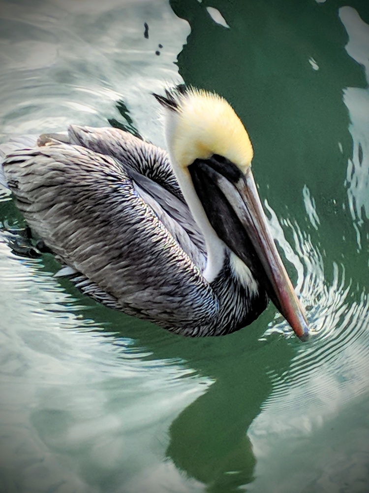 View Untitled 1 by J Pitchford