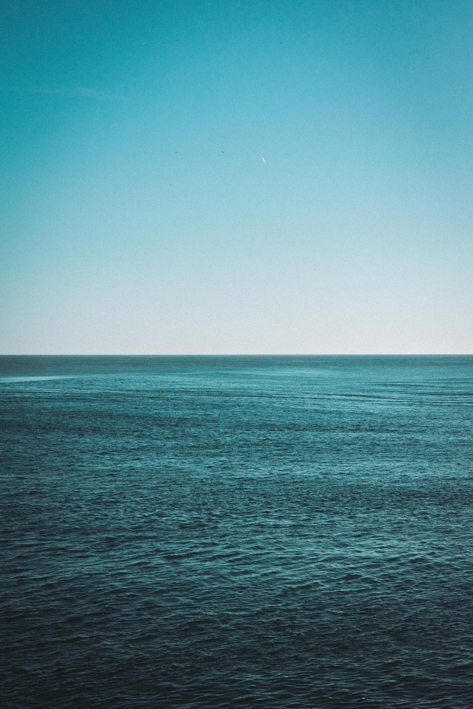 View Untitled 1 by Tiago Rocha