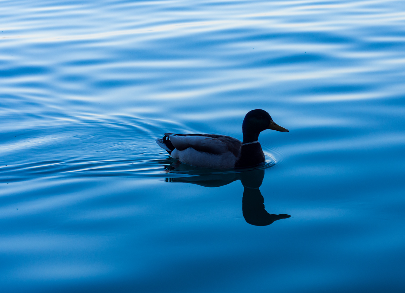 View Untitled 1 by Trevor Clarke