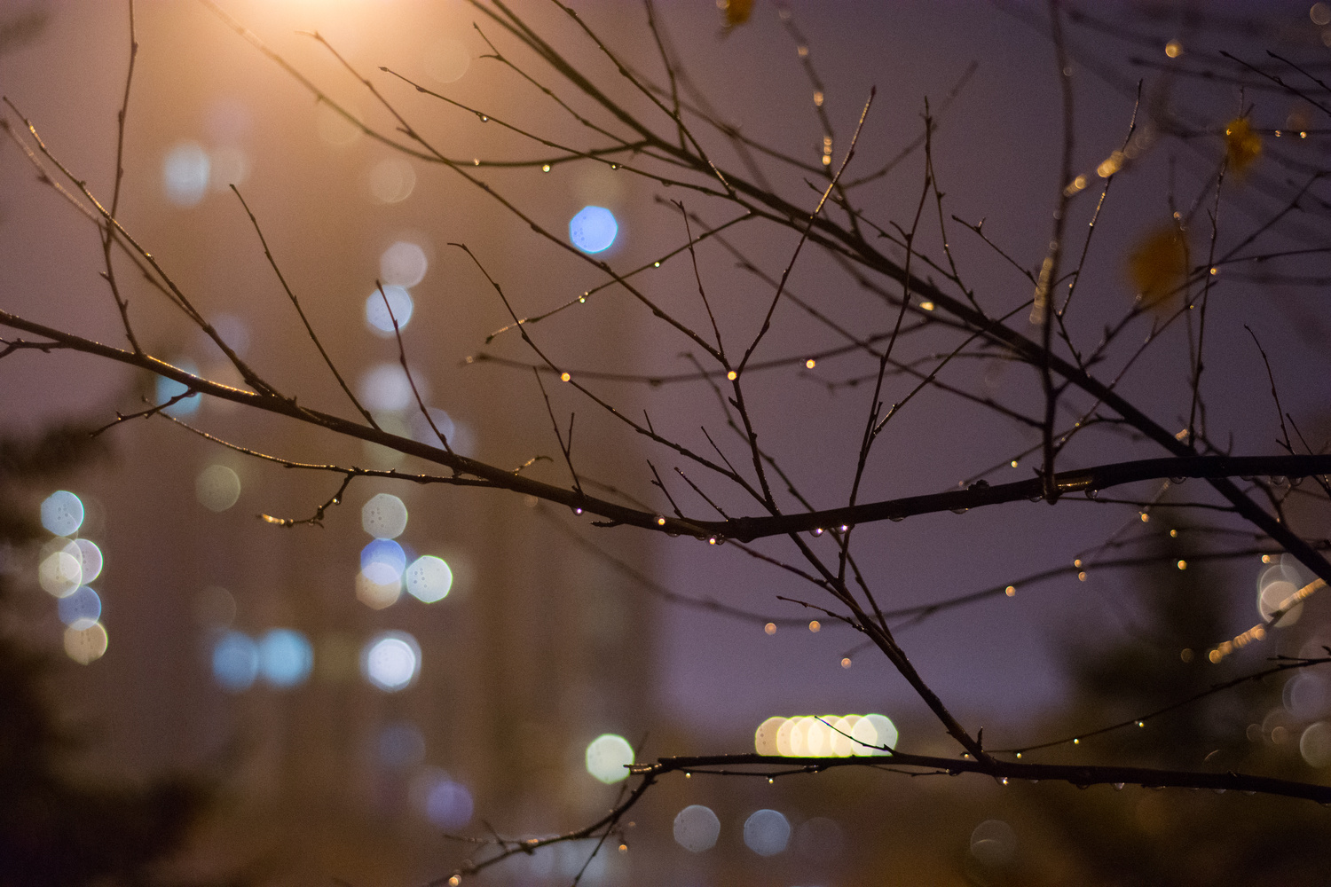 View Untitled 2 by Trevor Clarke