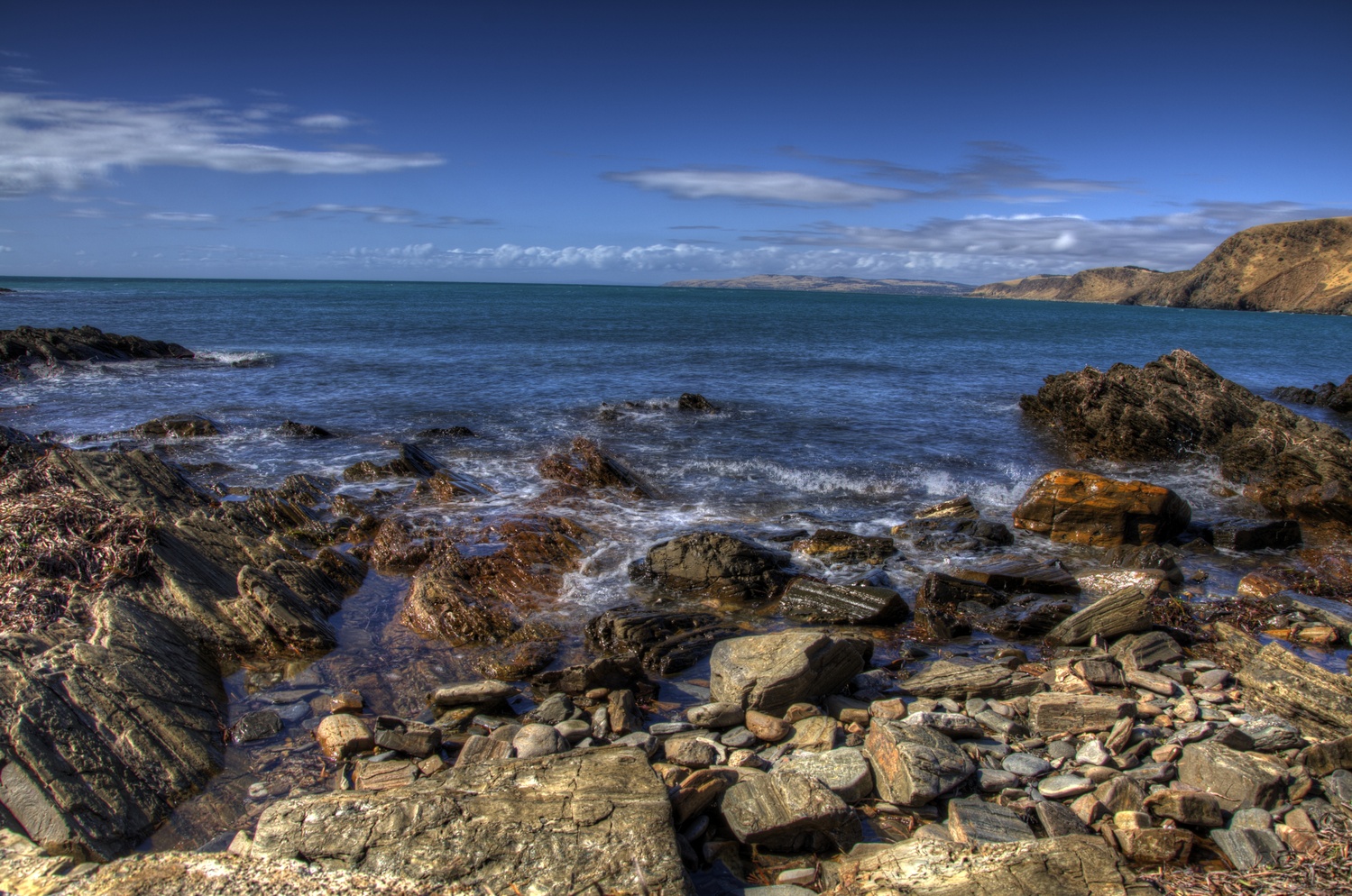 View Untitled 9 by Wayne Wallace