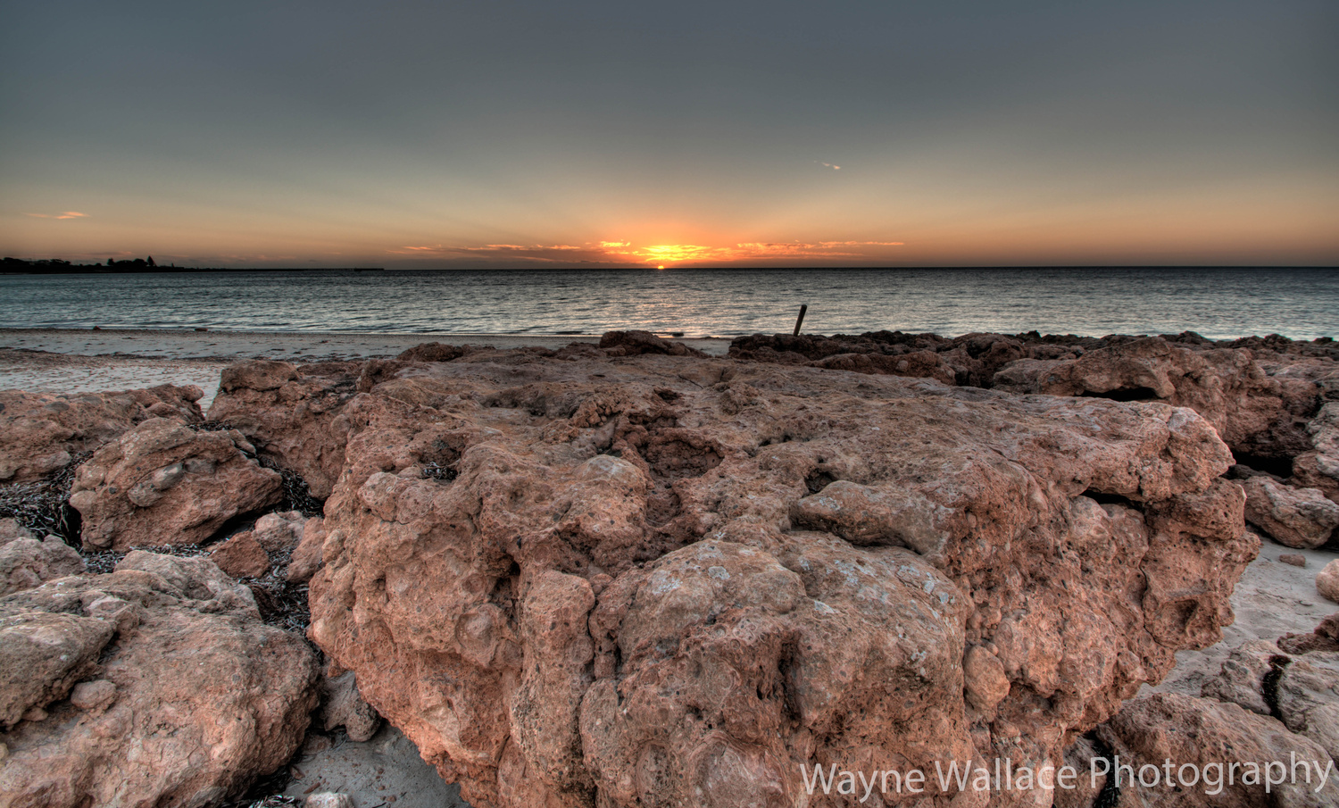 View Untitled 1 by Wayne Wallace
