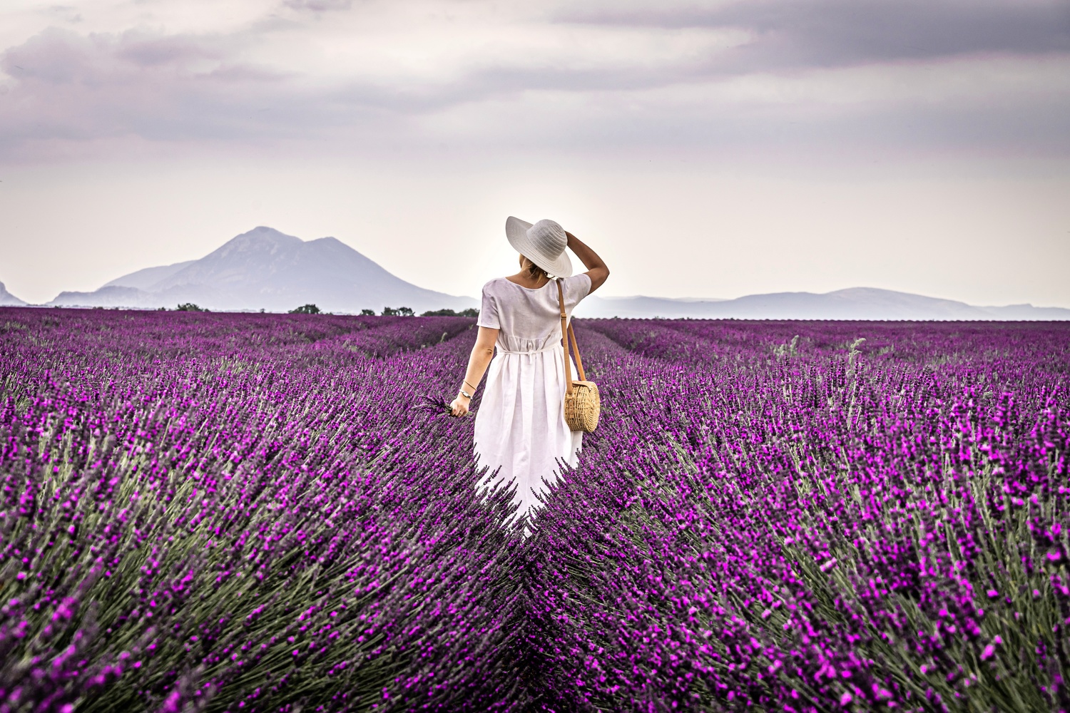 View Untitled 21 by Stefan Thomas