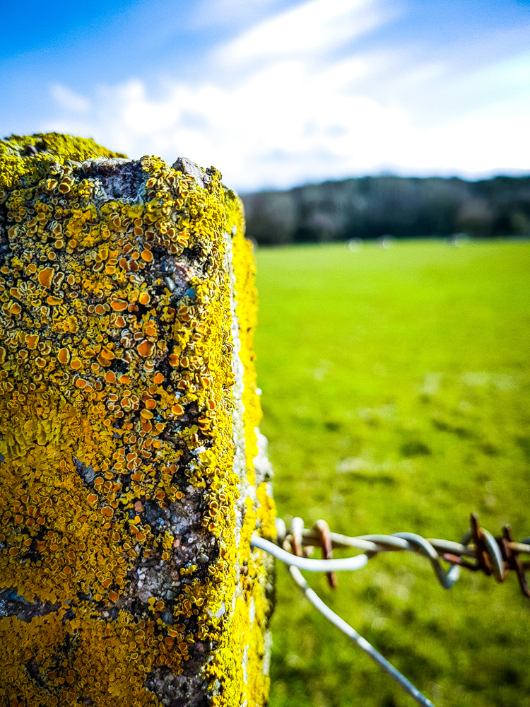 View Post by Harrison Carr