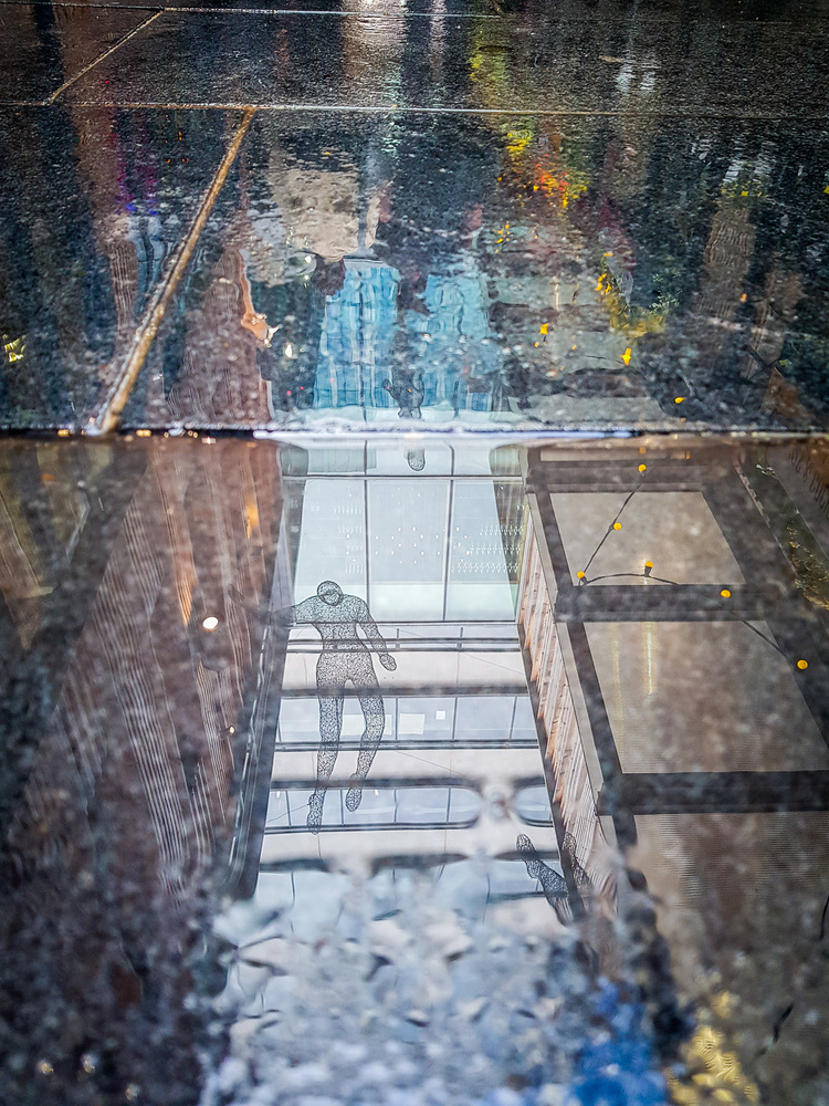 View Reflection by Harrison Carr