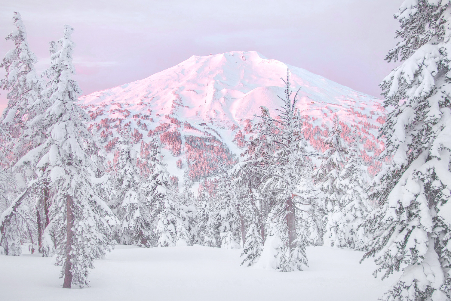 View Untitled 4 by Eric Ritchie