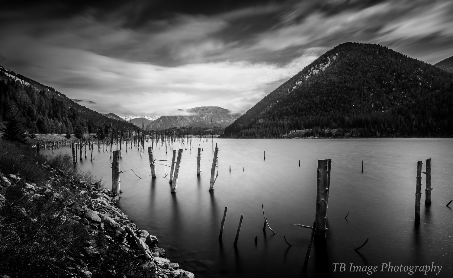 View Quake lake montana by Tyler Booth