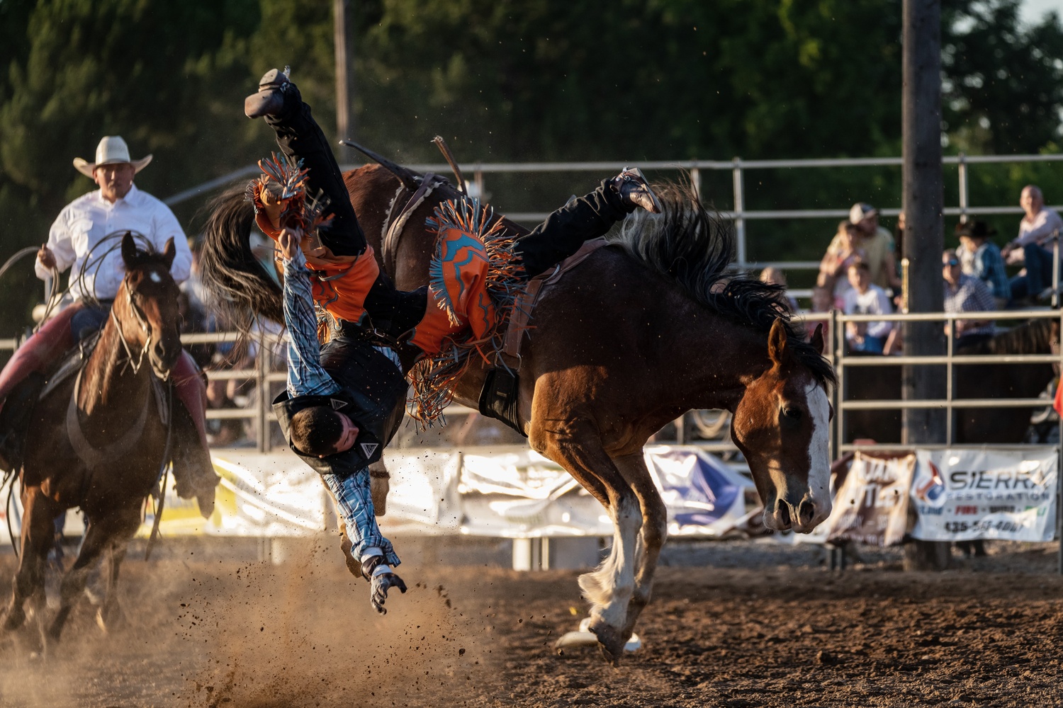 View Rodeo by Tyler Booth