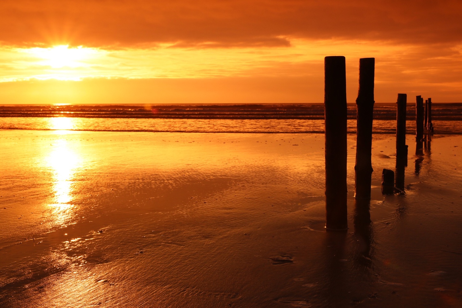 View Untitled 13 by Ron Meijer