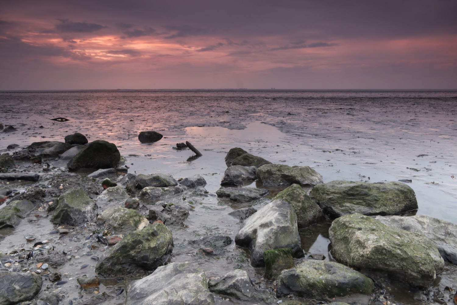 View Untitled 12 by Ron Meijer