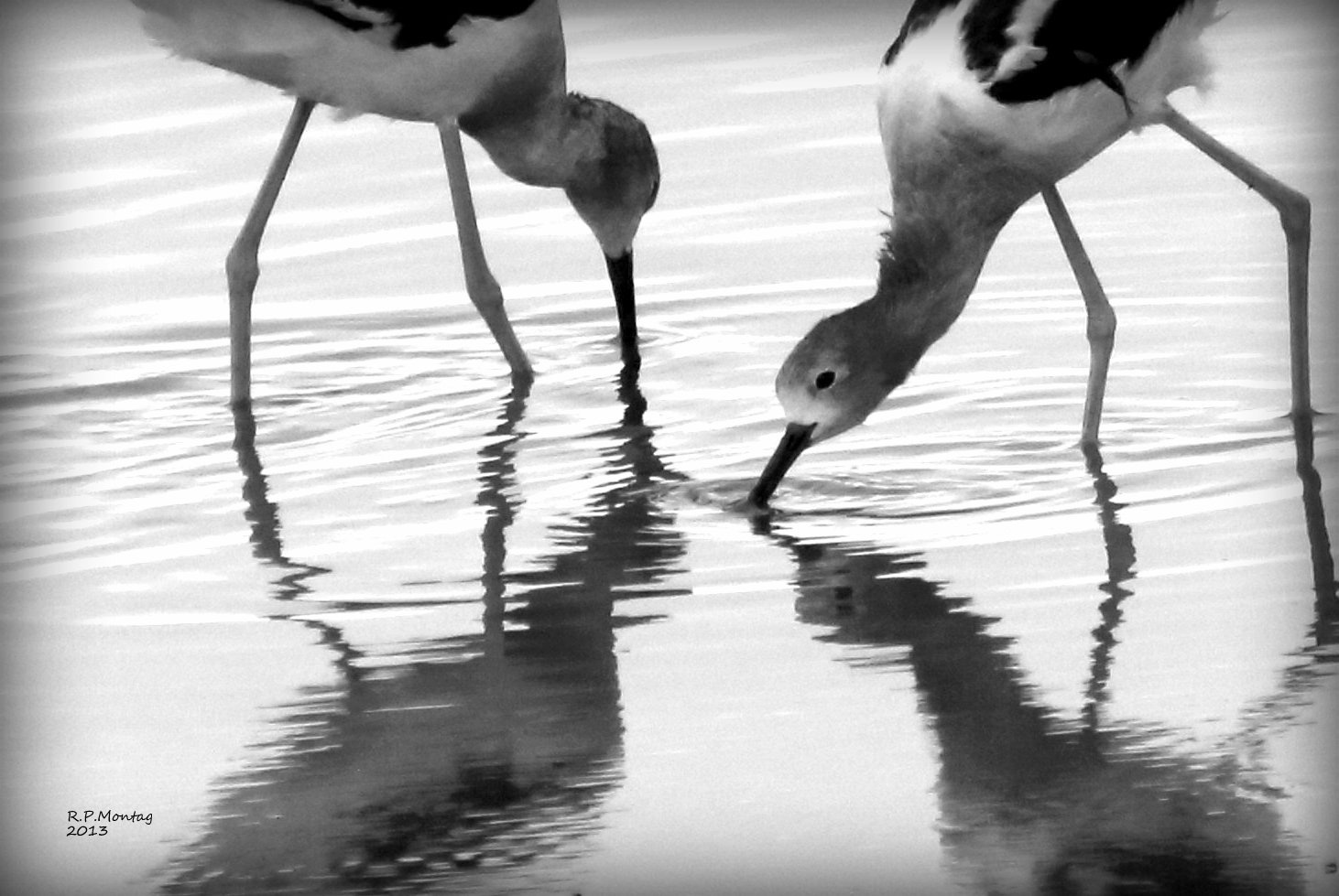 View Untitled 1 by Richard Montag
