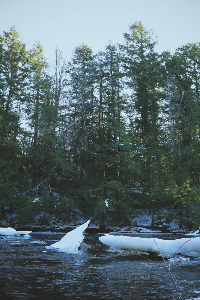 View Untitled 9 by Ryan Phillips