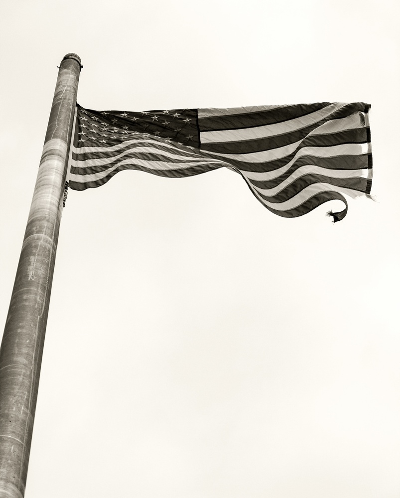 View Untitled 1 by Darren Brown