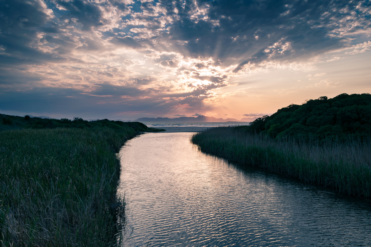 View Leading to the Light by Dirk Grobler