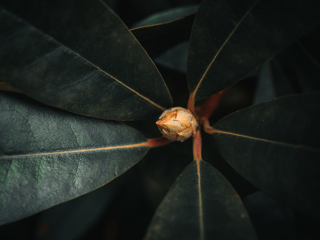 View Untitled 11 by Ryan Hicks