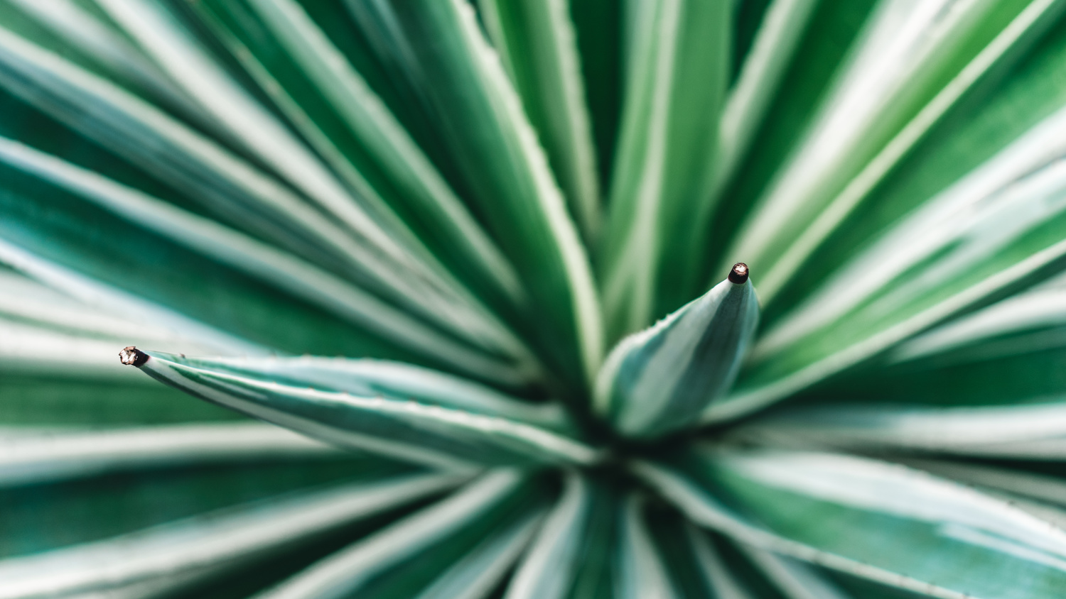 View Untitled 13 by Michael B