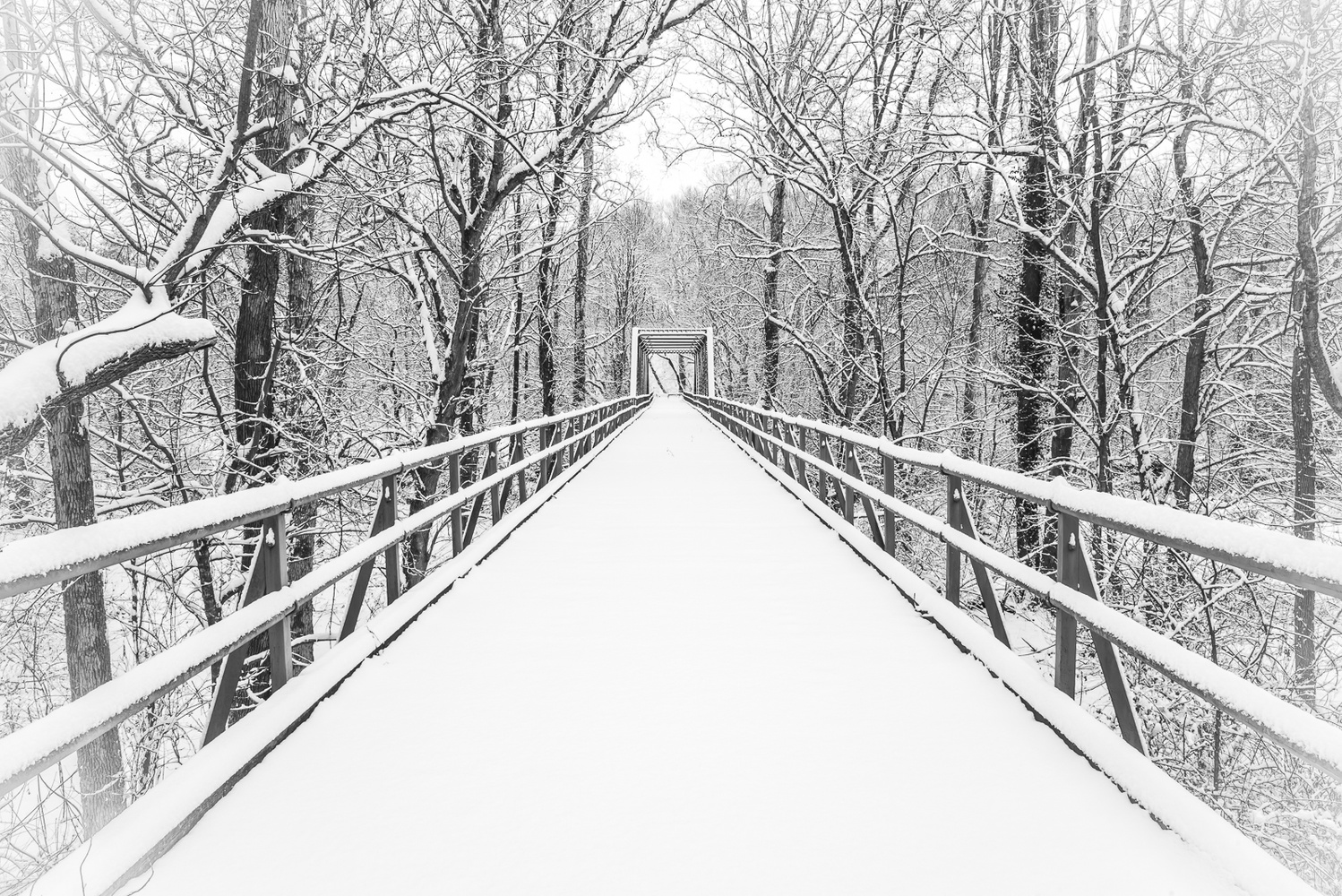 View Untitled 9 by Mark Long